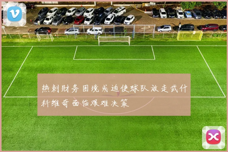 热刺财务困境或迫使球队放走武什科维奇面临艰难决策