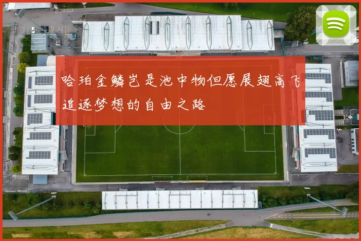 哈珀金鳞岂是池中物但愿展翅高飞追逐梦想的自由之路