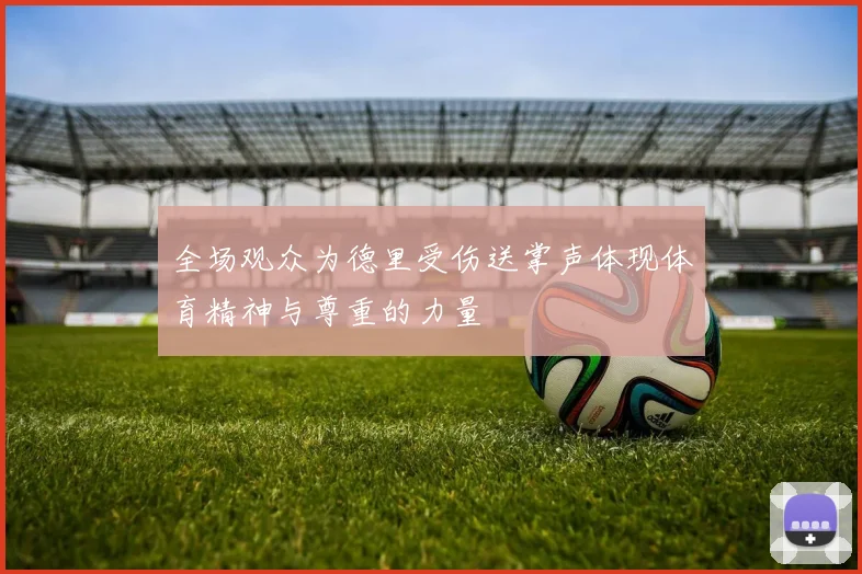 全场观众为德里受伤送掌声体现体育精神与尊重的力量